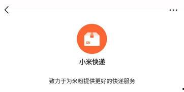 宁强微信爆料最新消息今天,最新动态揭秘，今日热点事件一览无余！”